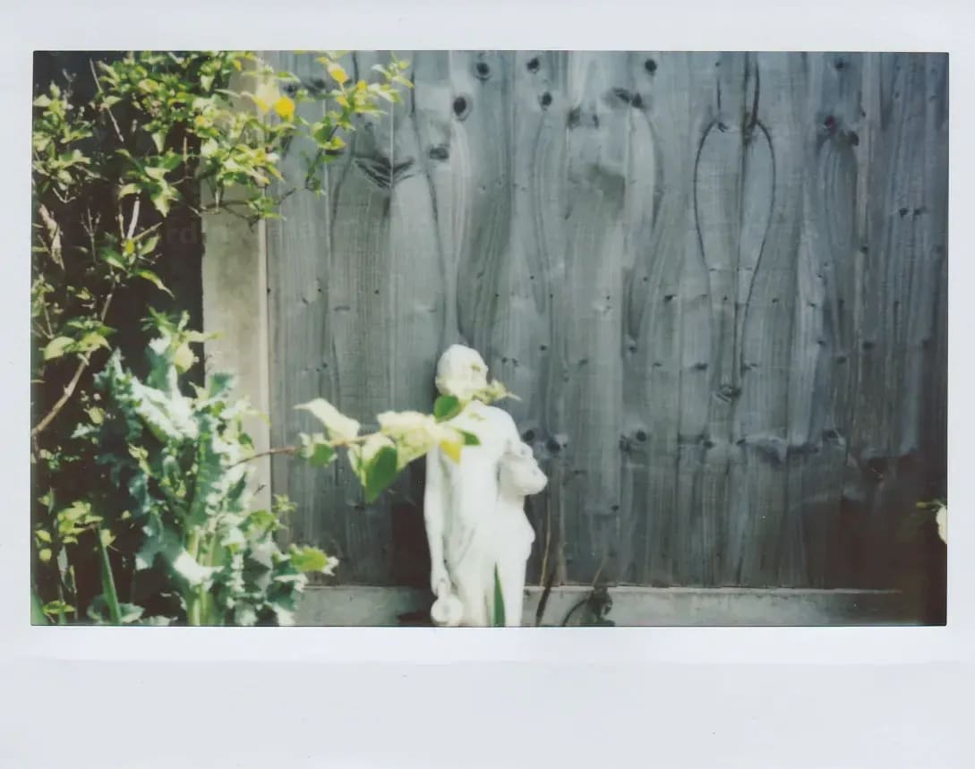 Jardin & Harmonie 3